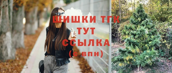 ПСИЛОЦИБИНОВЫЕ ГРИБЫ Нефтегорск