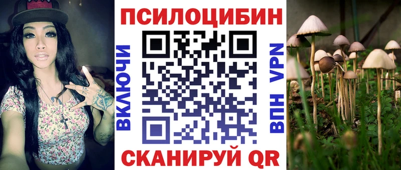 hydra ТОР  Зерноград  Псилоцибиновые грибы GOLDEN TEACHER  наркота 
