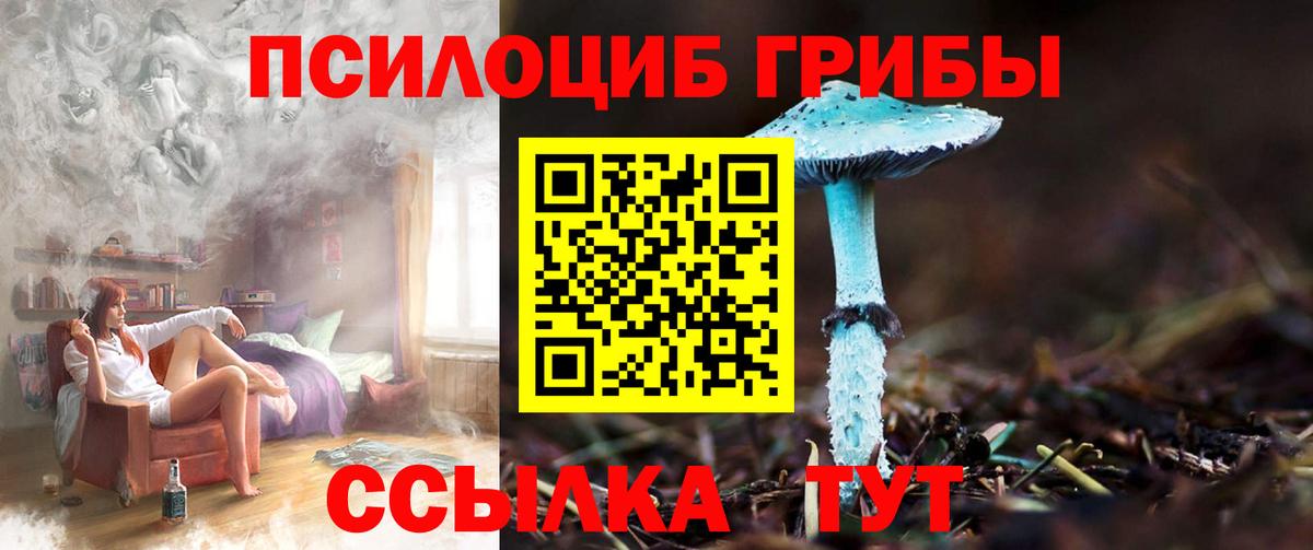 Галлюциногенные грибы ЛСД Зерноград