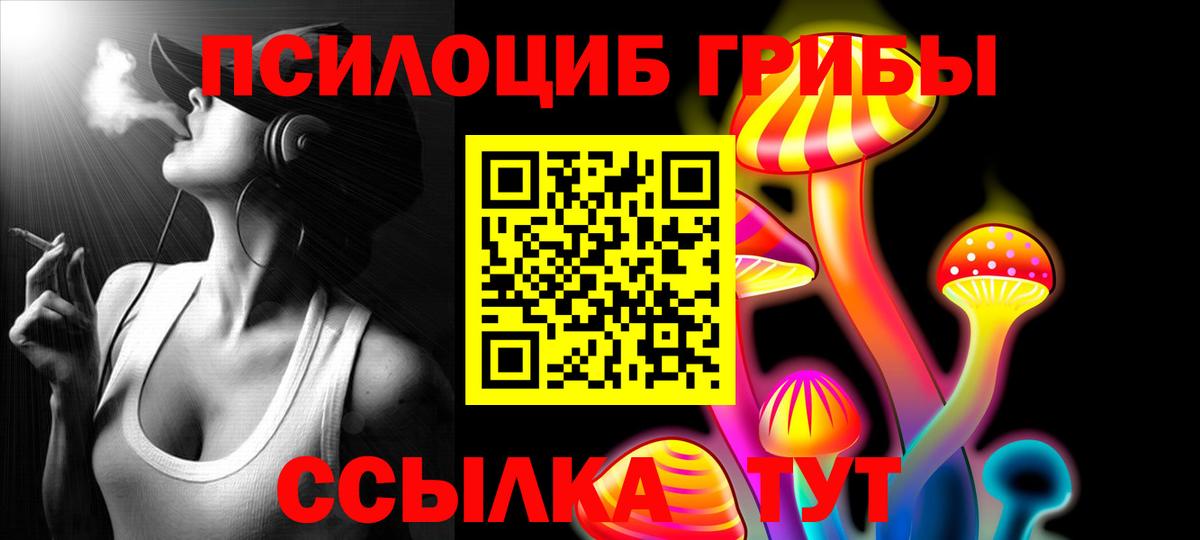 Зерноград  Псилоцибиновые грибы прущие грибы  Вход с VPN  Псилоцибиновые грибы MAGIC MUSHROOMS 