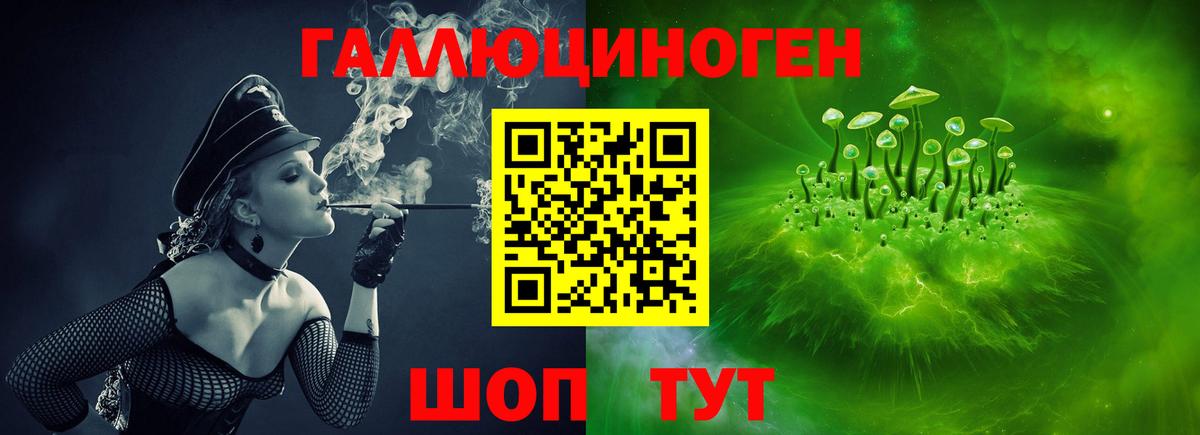 Галлюциногенные грибы прущие грибы Зерноград